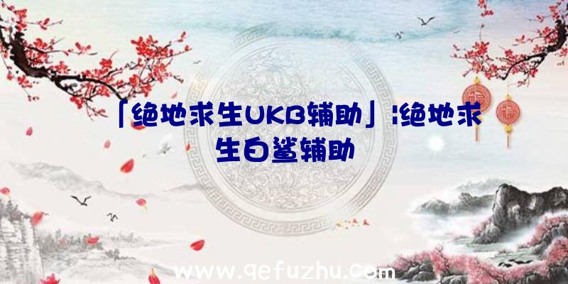 「绝地求生UKB辅助」|绝地求生白鲨辅助